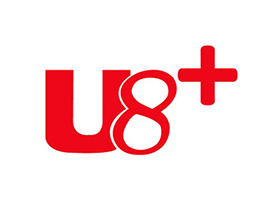 用友 U8+